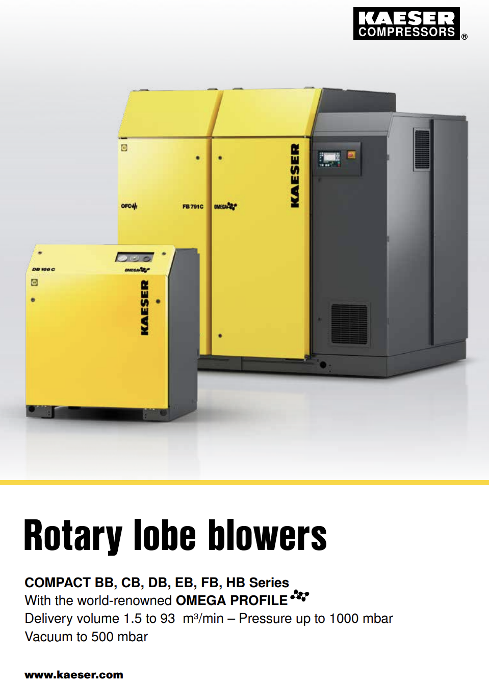 ROTARY BLOWER